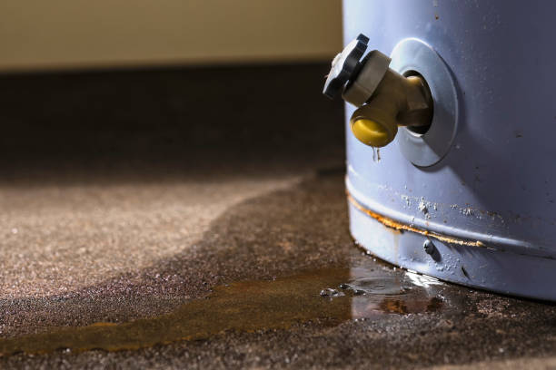 Best Water damage restoration insurance claims  in Dix Hills, NY