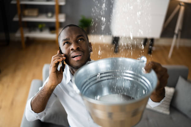 Best Water damage restoration experts  in Dix Hills, NY