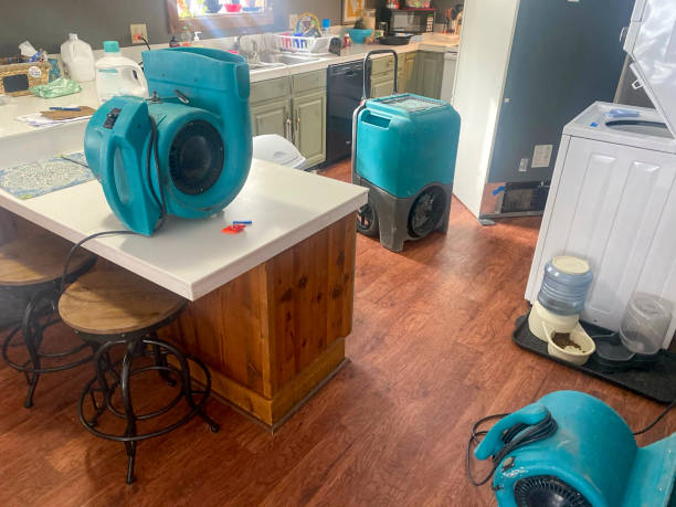 Best Carpet water damage restoration  in Dix Hills, NY