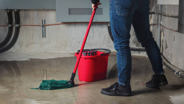 Best Professional water damage repair  in Dix Hills, NY
