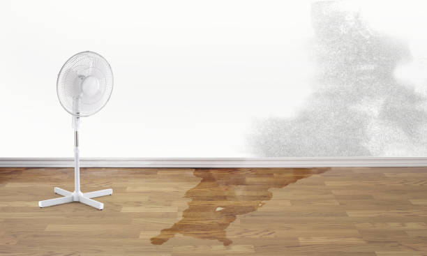 Best Water damage restoration services  in Dix Hills, NY