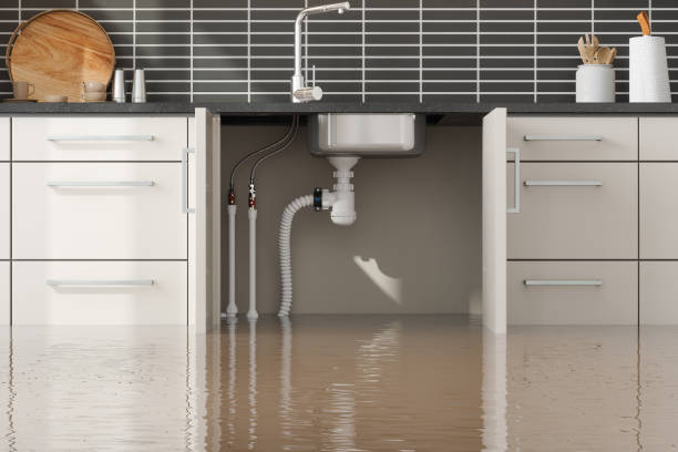 Best Flood damage cleanup  in Dix Hills, NY