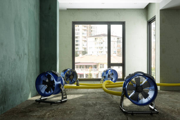 Best Water damage contractors near me  in Dix Hills, NY